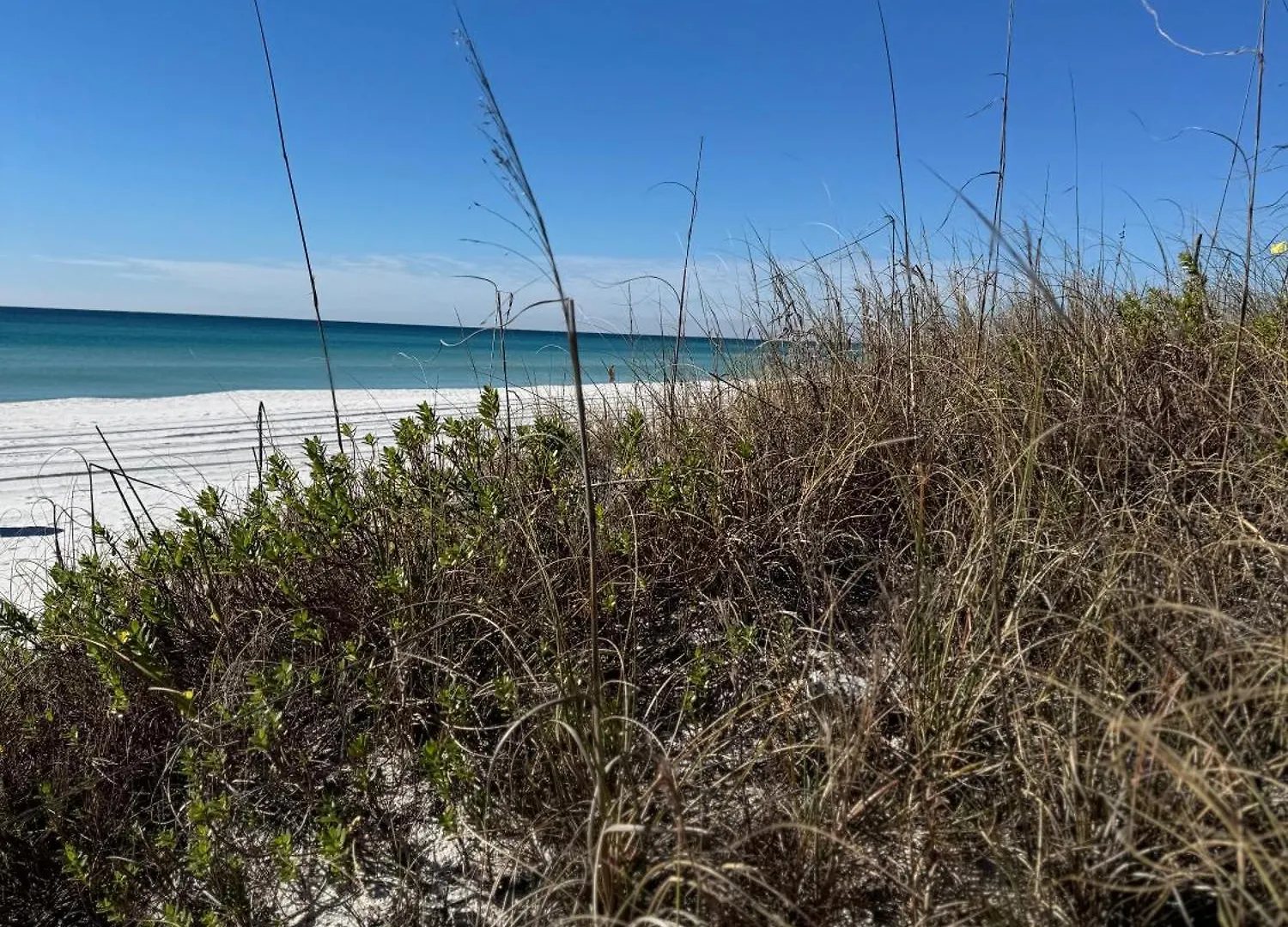 Sunset By The Sea At Fontainebleau Terrace #222 By Nautical Properties Panama City Beach Διαμέρισμα